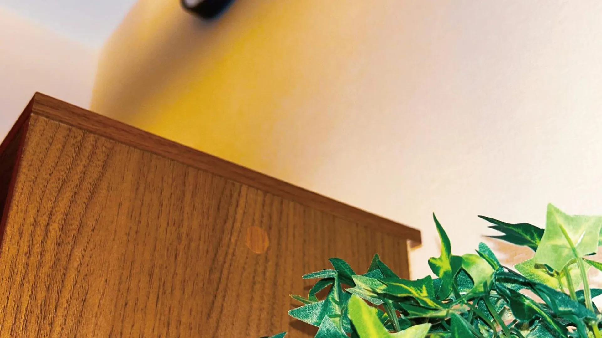 Tsubakiyama Apartment Fukuoka